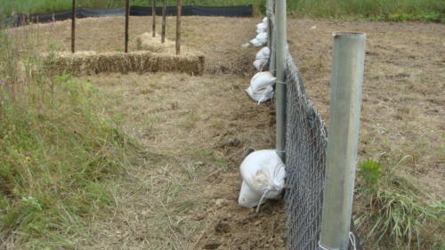 Post Irene Super silt fence and sandbags (1)